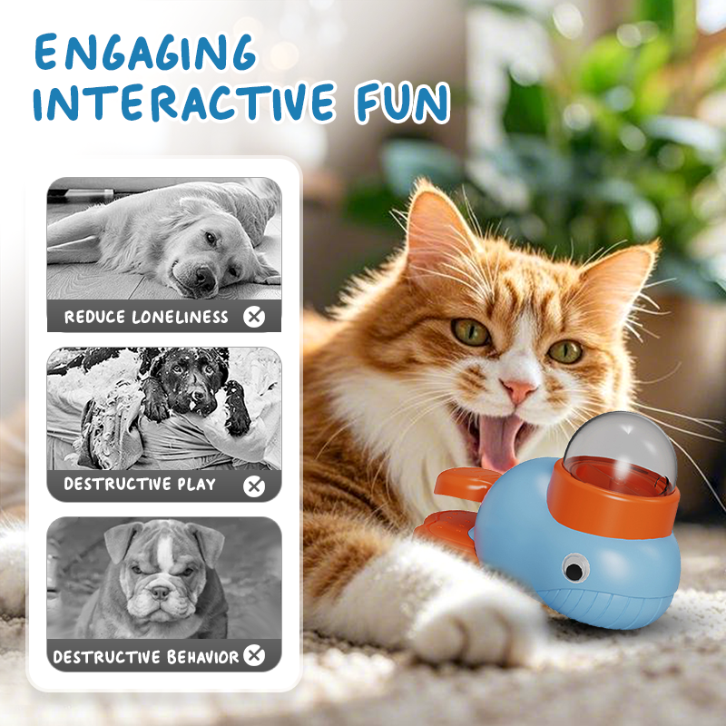 Distribuitor interactiv de recompense pentru câini